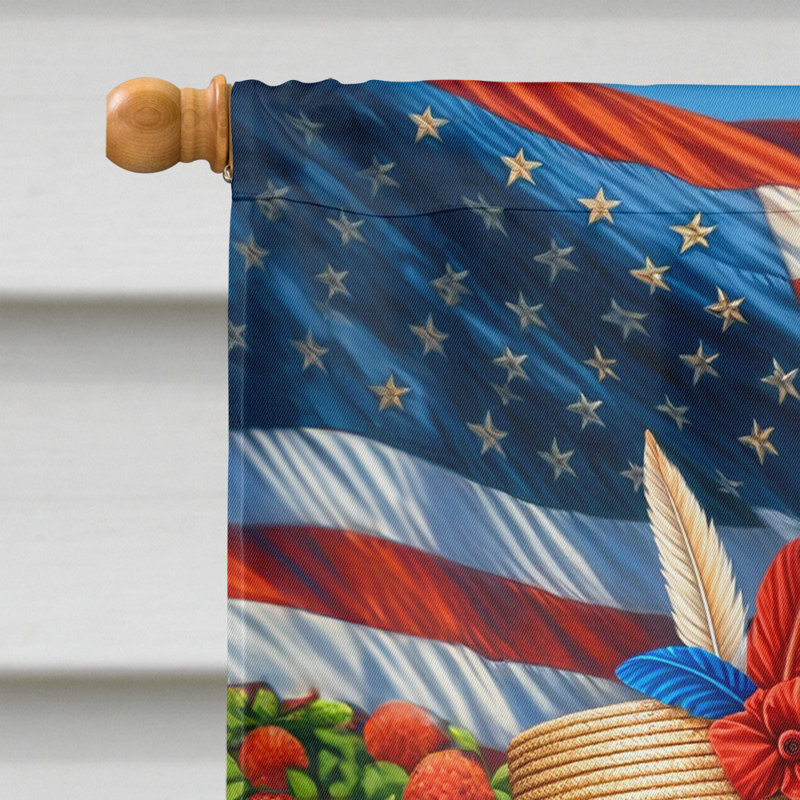Drapeau «All American House», Épagneul cavalier bleu / rouge