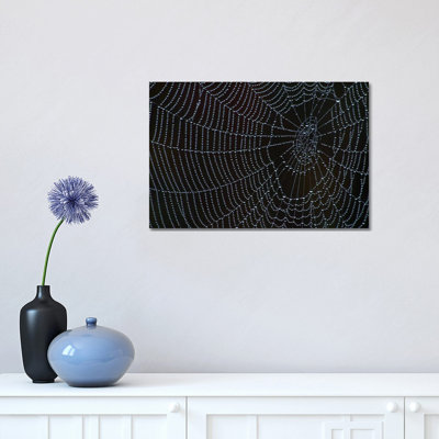 Spider's Web With Morning Dew by Brian Wolf - Wrapped Canvas Print