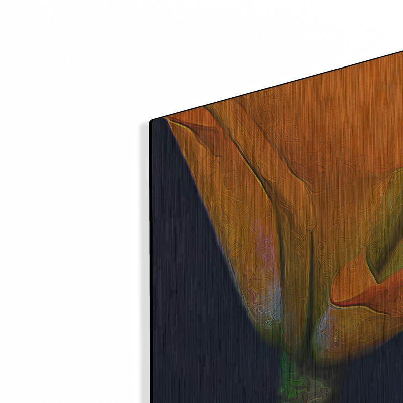 «Lily Dressed In Orange» par Pamela Plummer, H 16 po x l 24 po