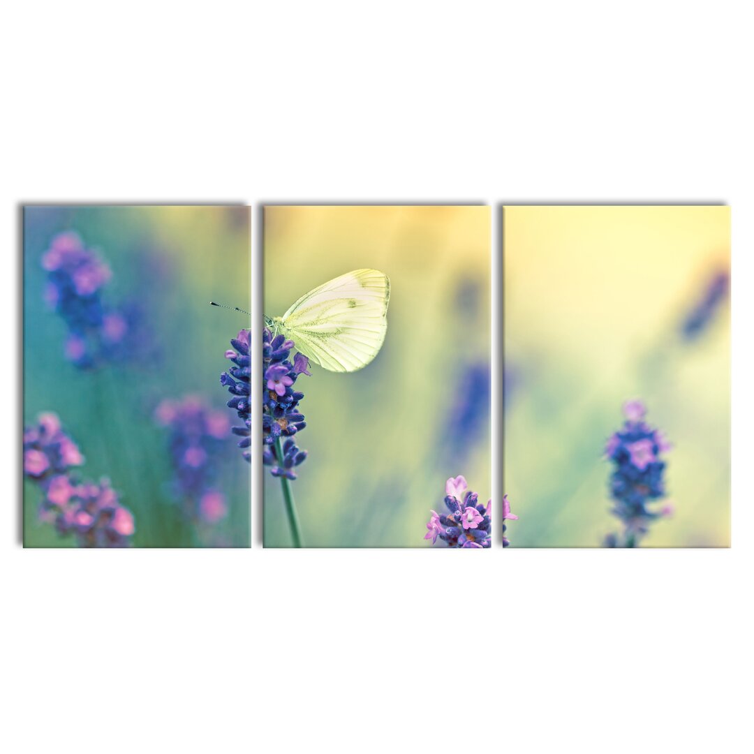 3-tlg. Leinwandbilder-Set Schmetterling auf Lavendel