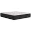 Elite Springs Plush Queen Mattress-88302506