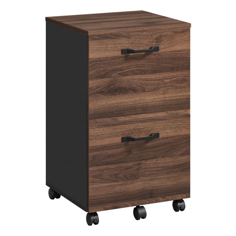 Franny 42cm Wide 2 -Drawer Mobile File Cabinet, Natural Walnut/Black