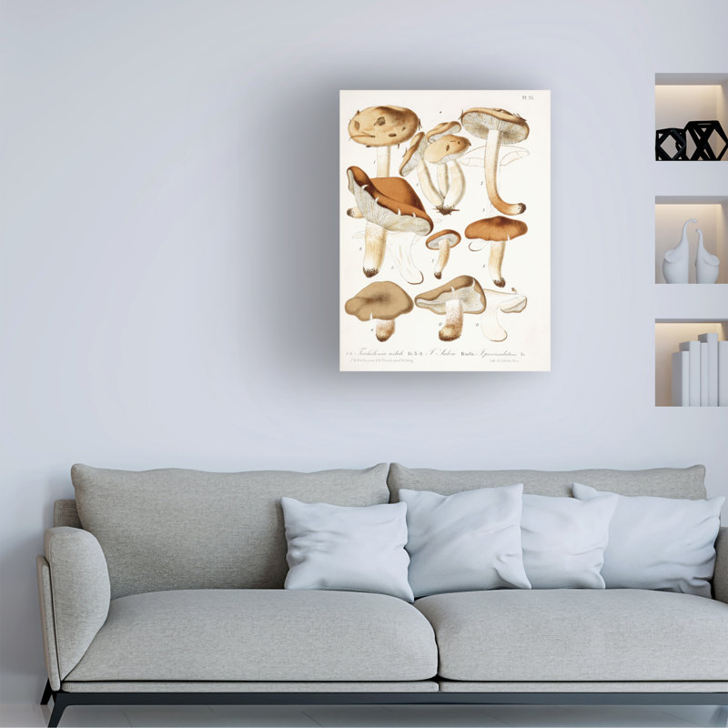 Art Jean Jean-Baptiste Barla Fungi, C.1860-66, H 32 po x l 24 po