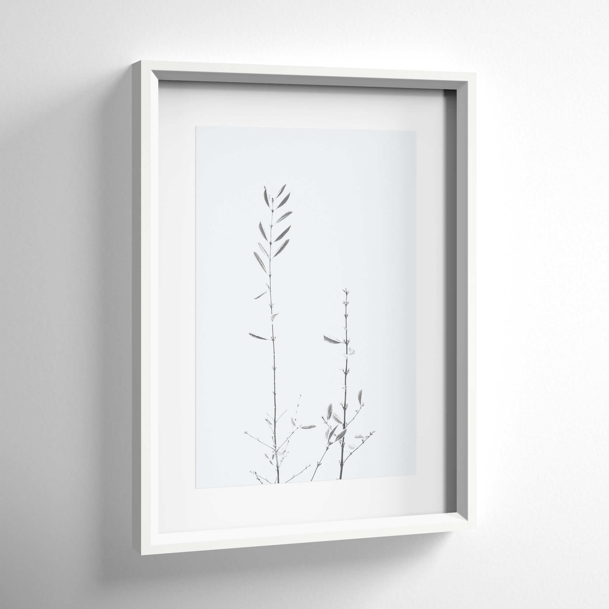 Retro Tennessee Botanical Print No 2 by Stephanie Klatt, 22" H x 16" W, White