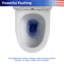Toilette une pièce Rainlex RX-T31W