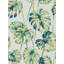 Kelapa Wallpaper-50900655
