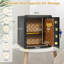 Catine Safe Box Lock