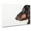 Dachshund Dog - Wrapped Canvas-55342786