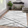 Salvador Abstract Area Rug