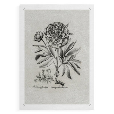 Motif floral rétro vintage CCCVXVI - impression sur toile seulement - non encadrée
