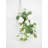 Silk Ranunculus Arrangement-318290514
