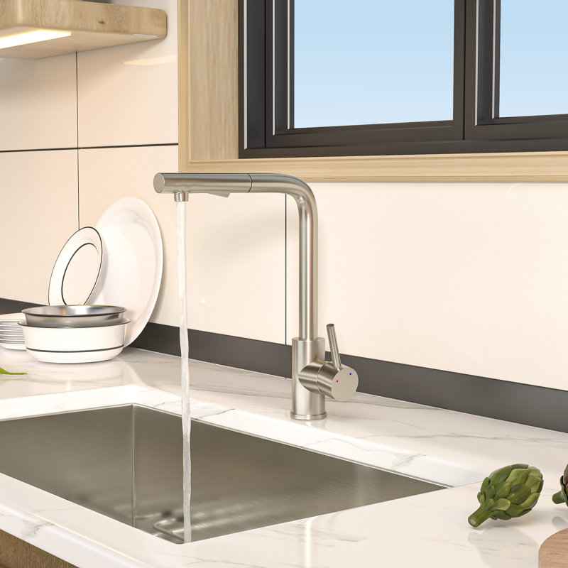 Mocoloo Pull Out Kitchen Faucet