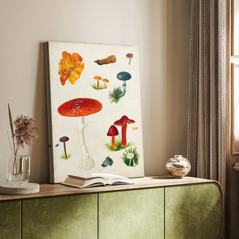 Mushroom Species VI - Gallery Cavas, H 27 po x l 18 po