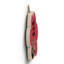 Gruia Wall Decor
