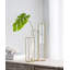 Tige de feuille Monstera