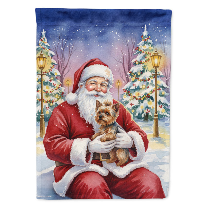 Yorkshire Terrier avec le drapeau de la maison du Père Noël, Taille de la maison, Yorkshire Terrier
