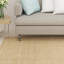 Runner Solid Colour Machine Woven Brown Area Rug-683226838