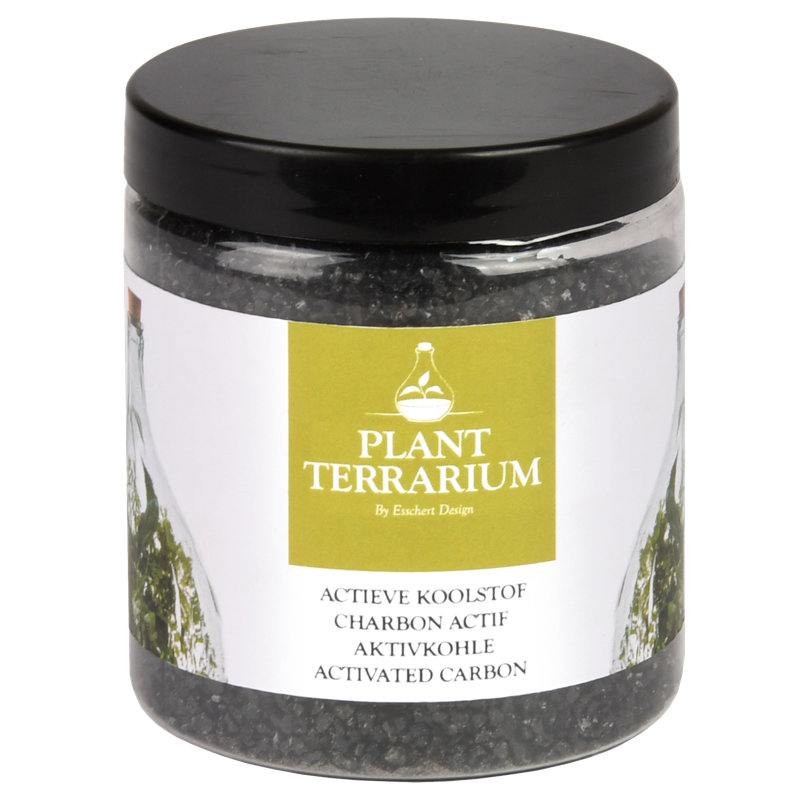 Terrarium Charcoal