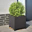 Planter Box-104931244-108202636