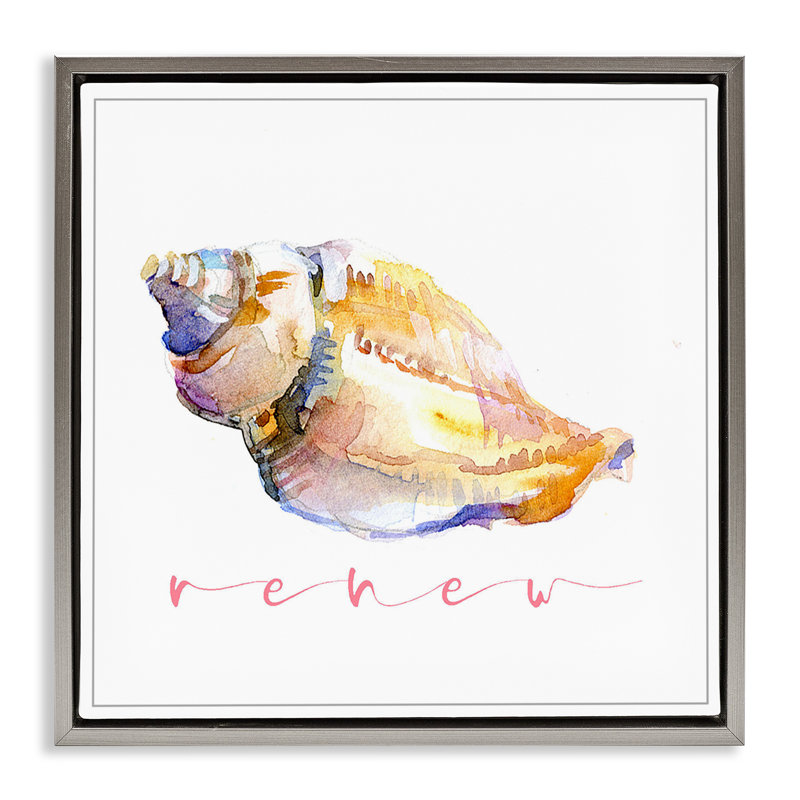 «Conch Shell Renew» par John Keeling, Cadre flottant gris lustré, H 25 po x l 25 po
