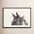 Black Framed Paper selected