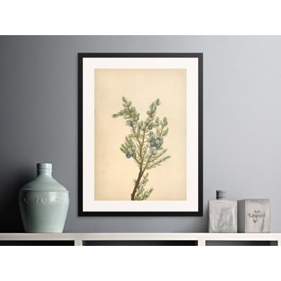 Ashby Print