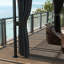 Hern 4 x 3 m Outdoor Hardtop Gazebo Canopy with Netting Curtains-322507892