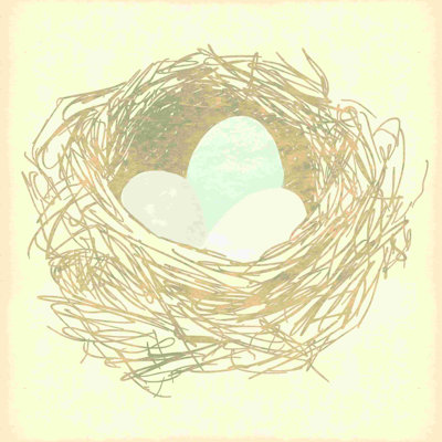 " Nest "