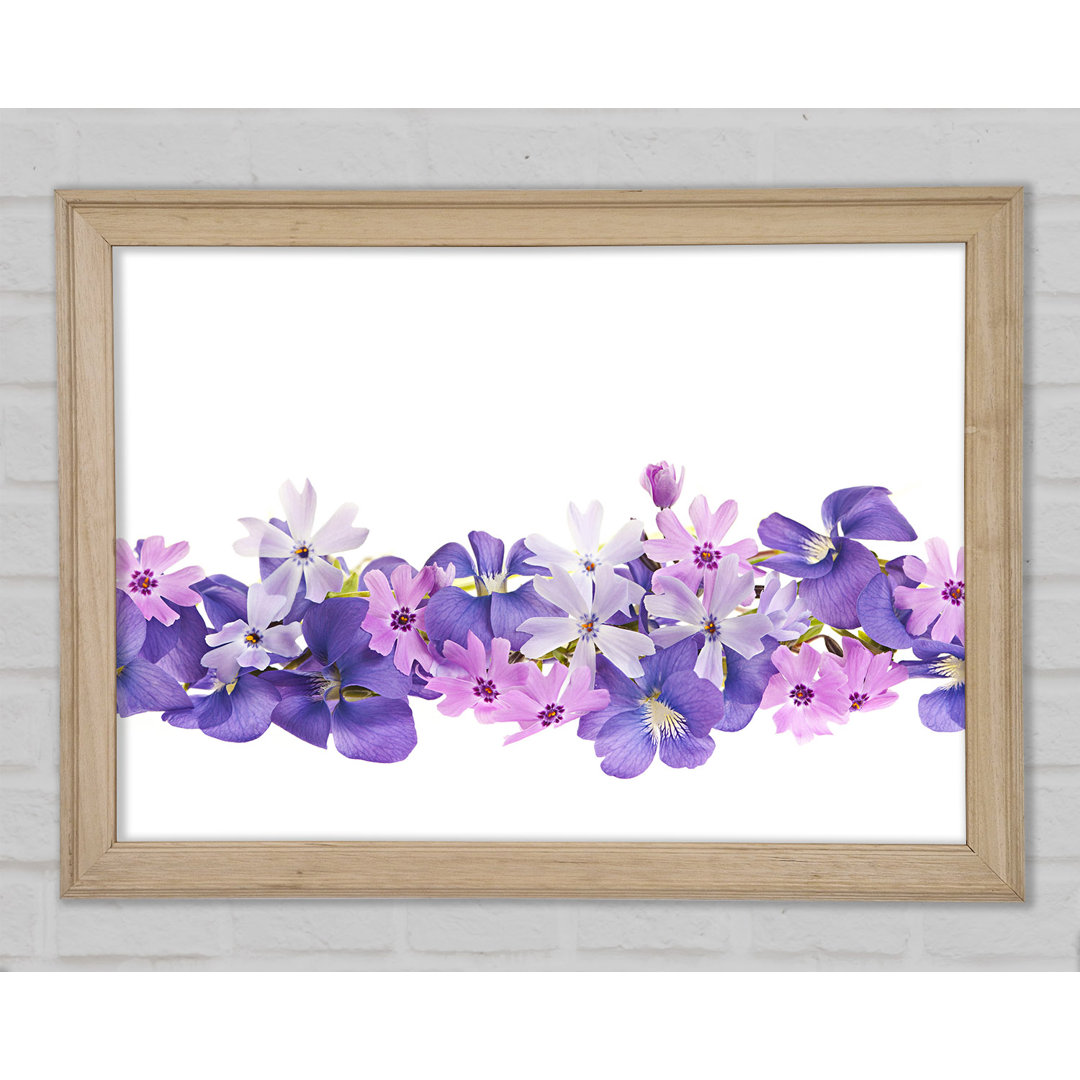 Rosa und violette Blumen ausgelegt - Druck