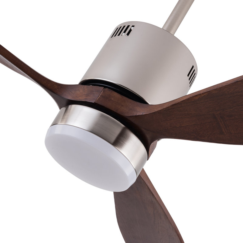 Ventilateur de plafond 52 po avec lumière et télécommande, ventilateur réglable à DEL 