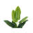 Artificial Plant