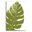 "Monstera" par Trish Sierer