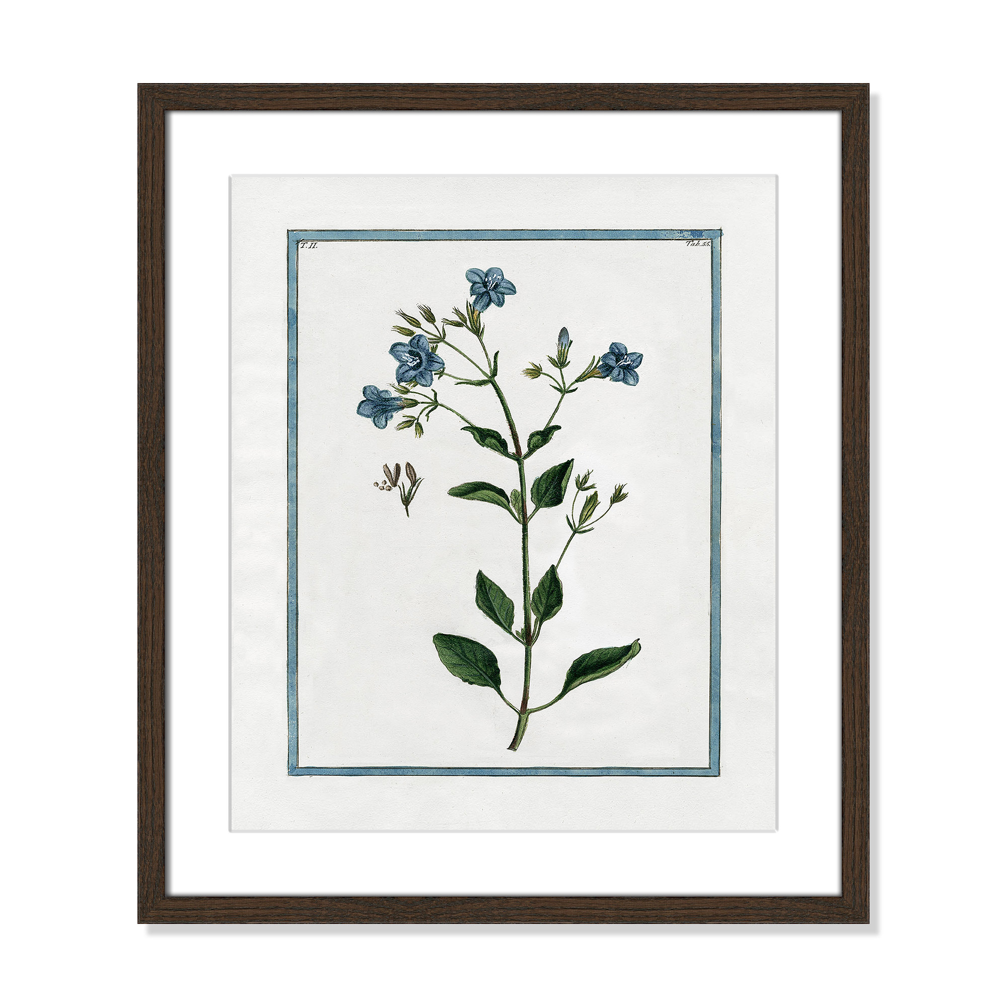 Shabby Elegance Botanical II - Framed Art, 16" W x 19" H, Walnut Framed
