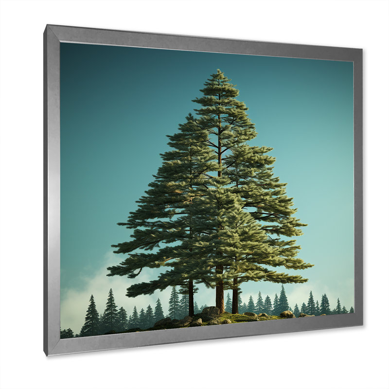 «Pine Tree Perspectives in Forest» sur toile, Cadre simple argenté, H 24 po x l 24 po x P 1 po