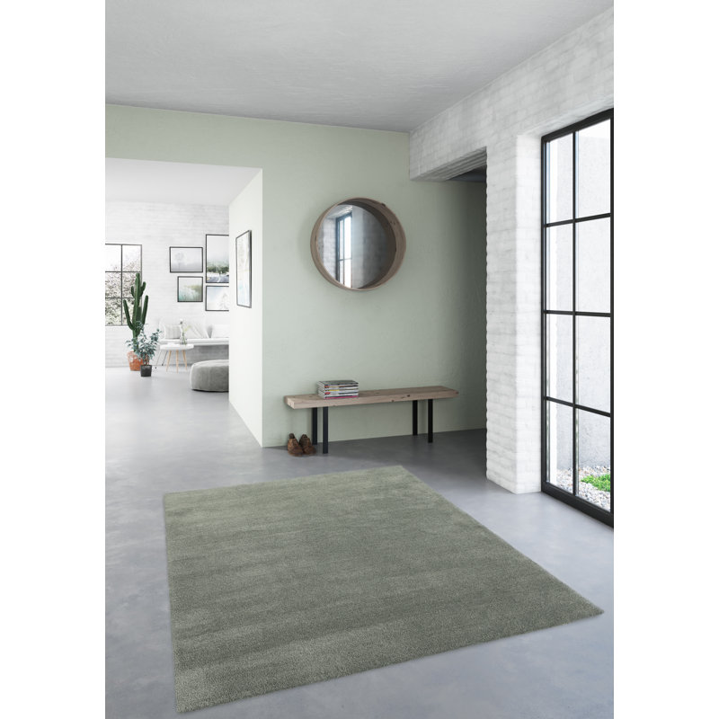 Reynaldo Machine Washable Shaggy Green Rug, Rectangle 160 x 230cm