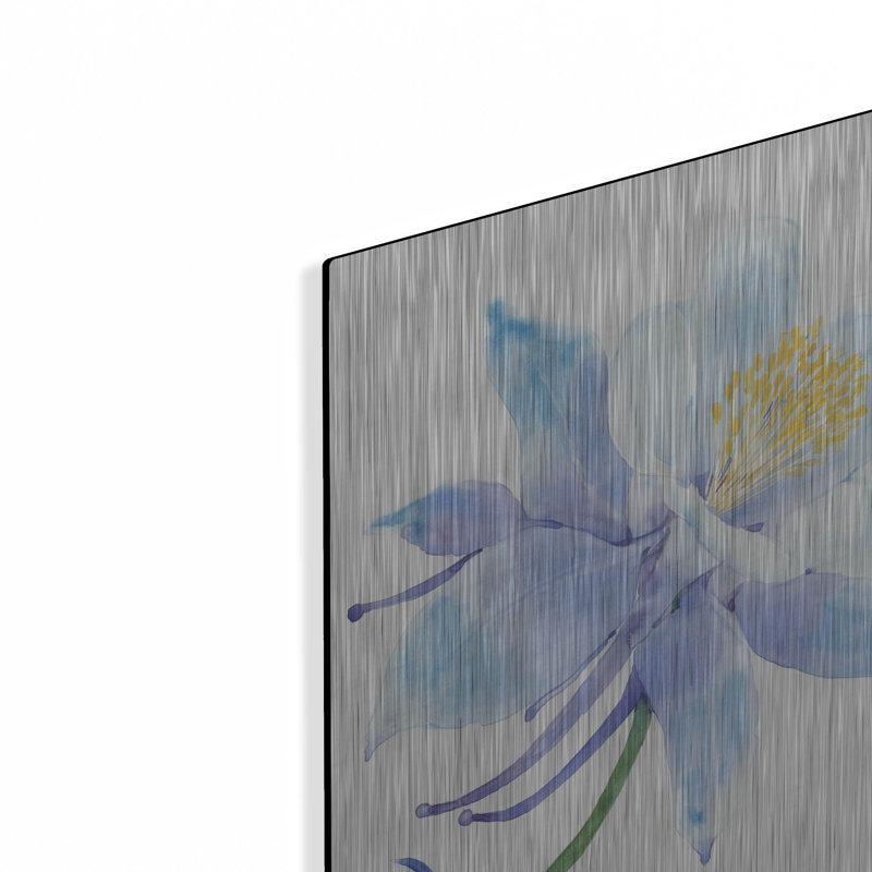 Art mural luxueux «Columbine Bloom I» par Tim O'Toole, art mural en métal, H 16 po x l 12 po