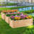 Demetru Planter Box