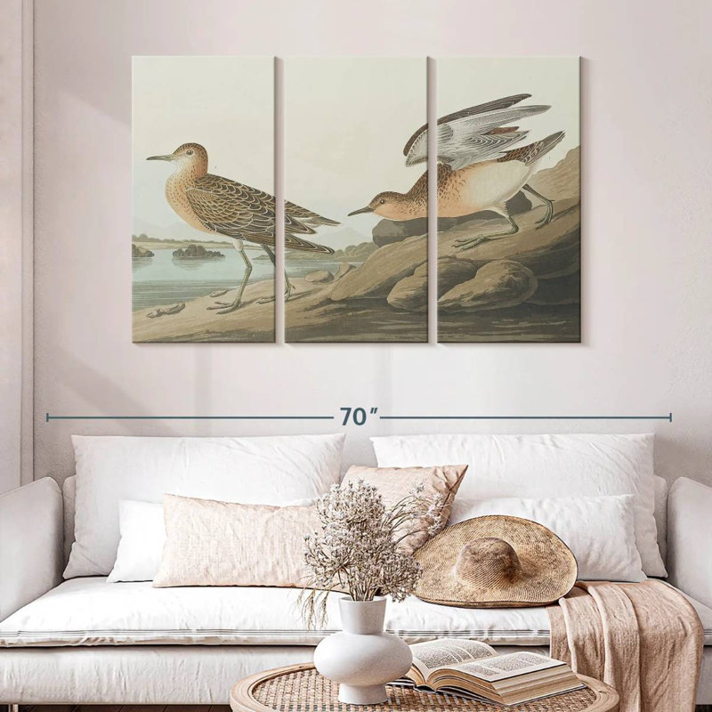 Brampt Buff Breasted Sandpiper, 32" H x 50" W