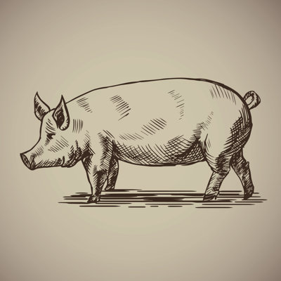 Pig by Eseninstudio - Wrapped Canvas Print