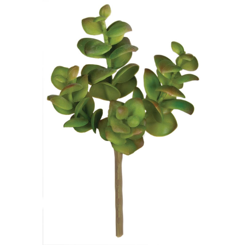 Succulent Arrangement
