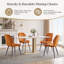 Stansky Mid-Century Modern Velvet Dining Chair with Crossed Metal Legs, Set of 2-1182278675