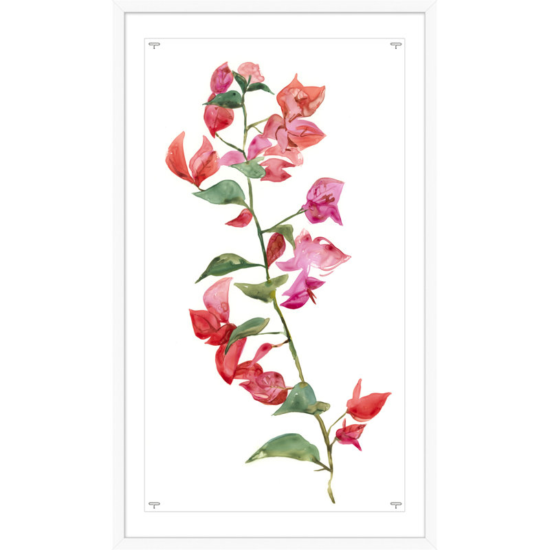 «Floral Plant 2» par Nathan Turner - Shadowbox, peinture sur papier
