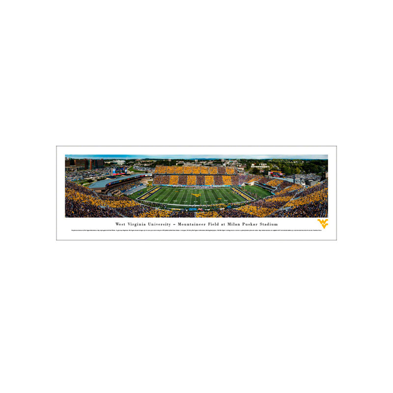 Michigan State Football, Stripe The Stadium - 44x18-inch Panoramic Deluxe Framed Picture With Mat