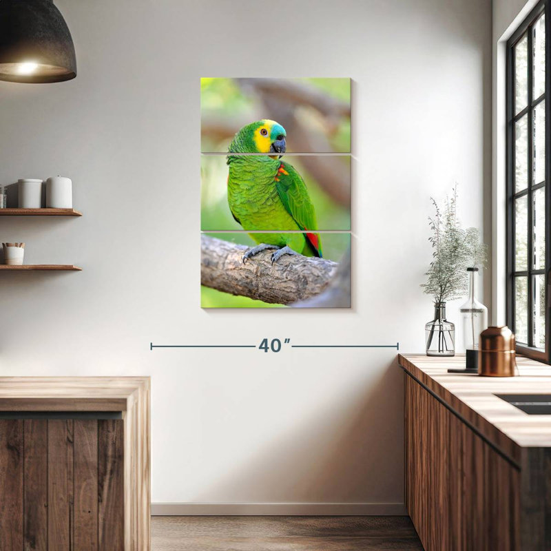 Brampt Turquoise-Fronted Amazon Bird, 38" H x 24" W