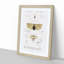 Insect of Illustrations PL.1 by Charles d'Orbigny - Picture Frame Painting Print-55576008-55576004