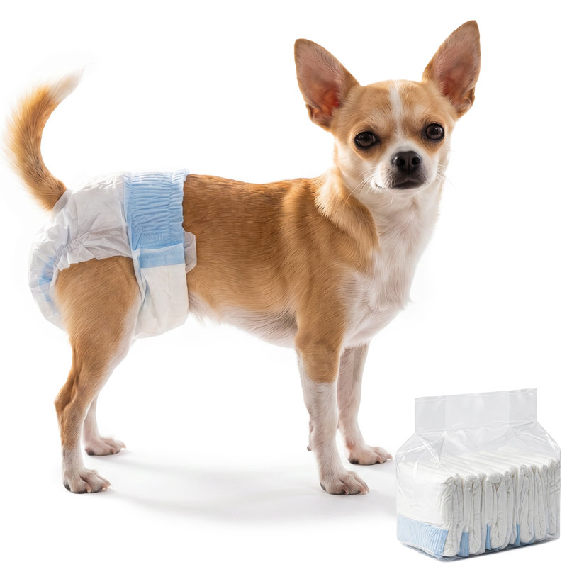 Dog Diaper