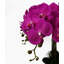 Plastic, Silk Artificial Arrangement in Planter