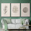 Shore Treasure Study I, reproduction encadrée sur toile 3 pièces-91887432-91887433