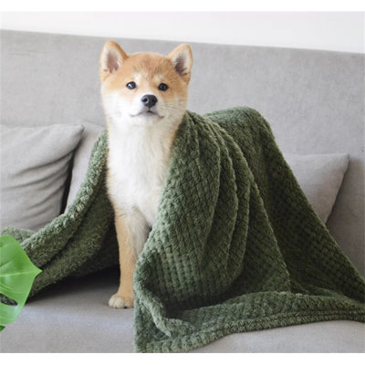 Dog Blankets
