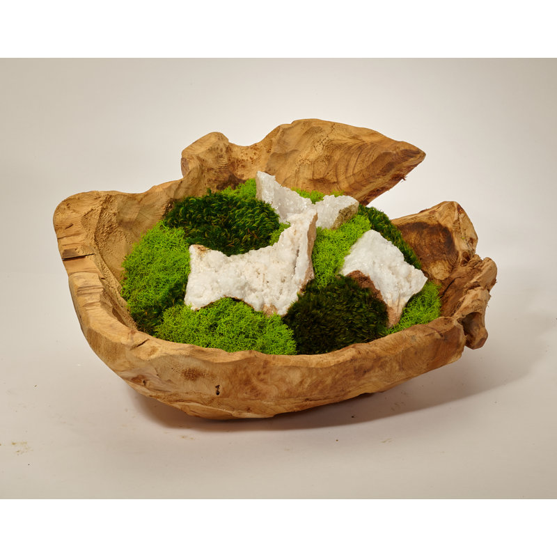 Moss Plant in Wood Planter